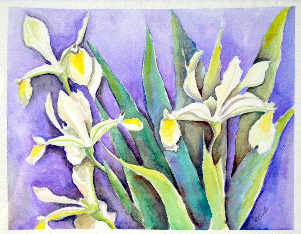 Iris – 2004, Acquarello su carta, 48 x 36